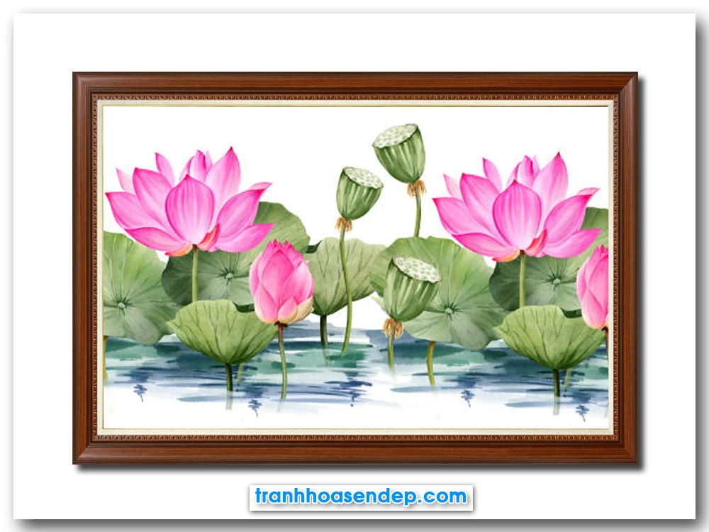 Vẽ hoa sen hồng tinh tế bằng màu nước nghệ thuật
