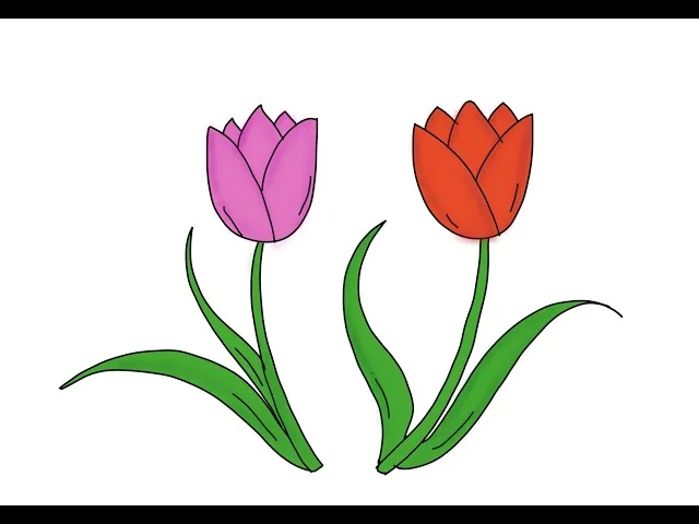 5 cách vẽ hoa tulip đơn giản đẹp, 30+ tranh mẫu ấn tượng nhất (2)