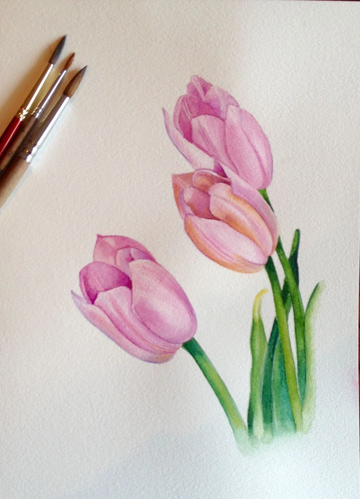 tranh ve hoa tulip mau nuoc nhe nhang
