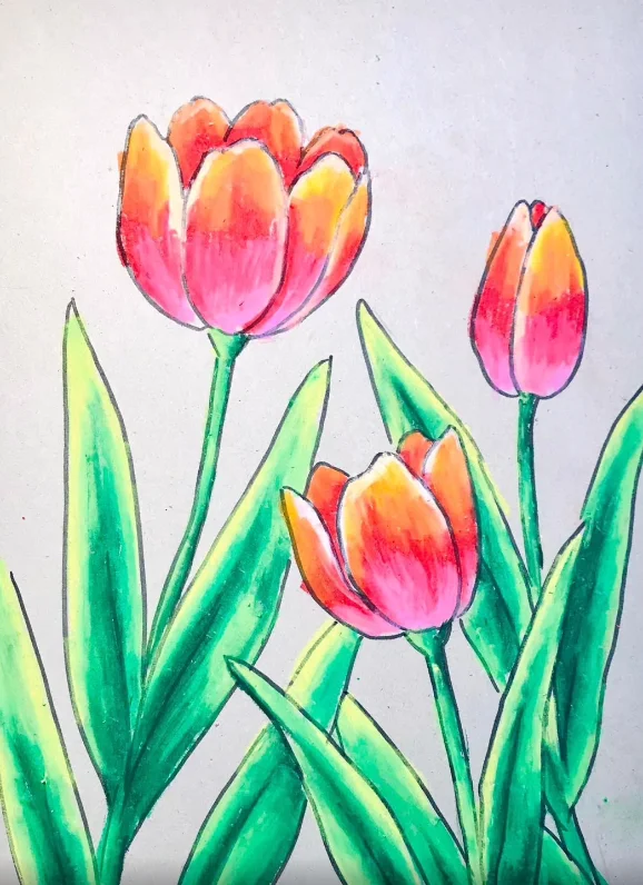 tranh ve hoa tulip phong cach minh hoa