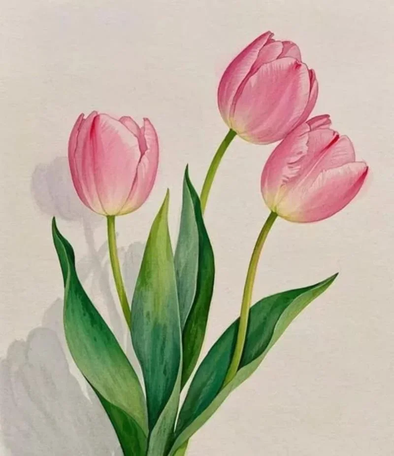 99+ Tranh hoa tulip treo tường nghệ thuật - Cách vẽ ấn tượng (2)